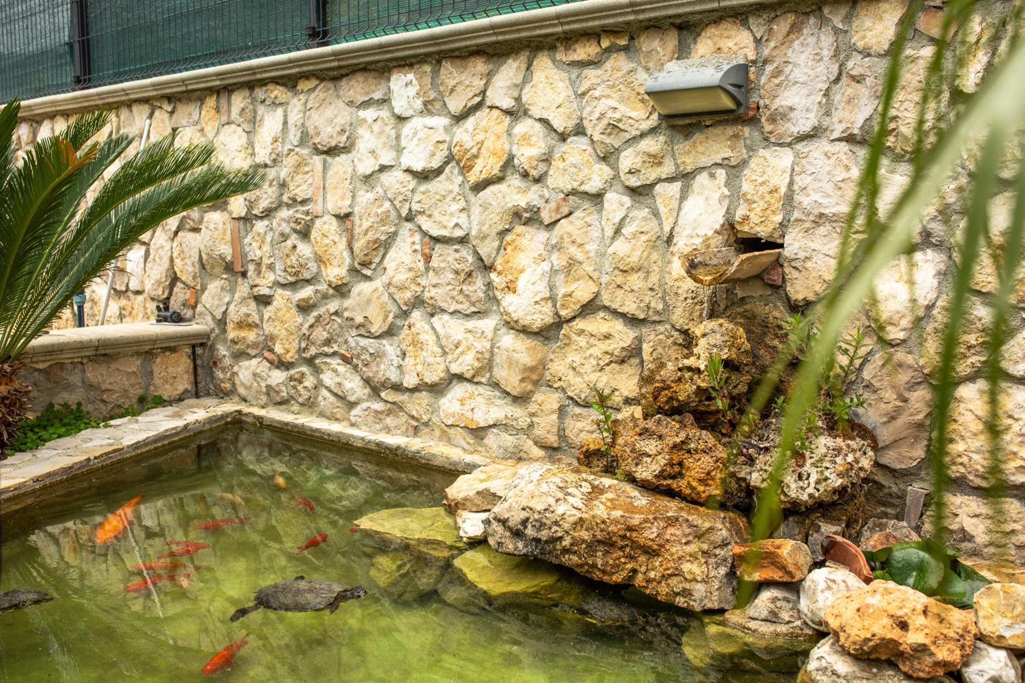 Green Oasis Gabella Castelforte Exterior photo